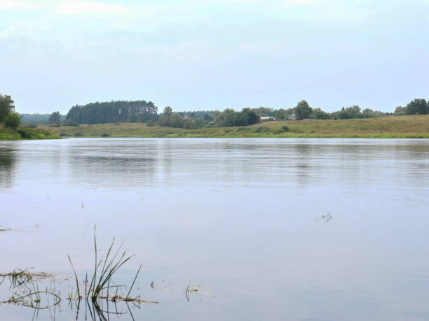 istock on the bank of the Volga River 854559992