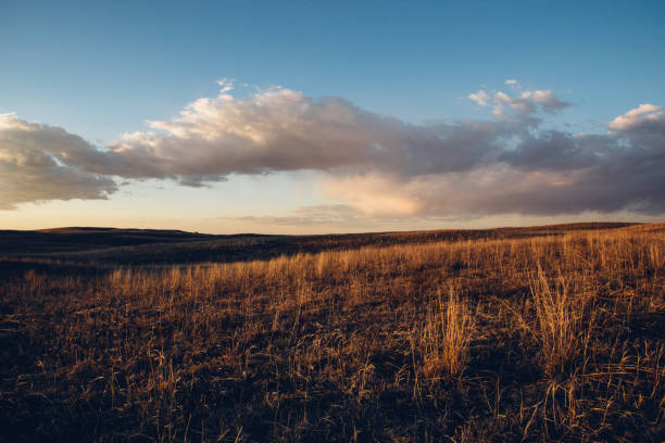 ネブラスカサンドヒルズ - nebraska midwest usa farm prairie ストックフォトと画像