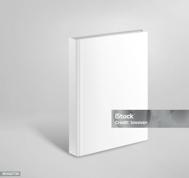 3d Blank Hardcover Book Vector Mockup Paper Book Template Stock  Illustration - Download Image Now - iStock