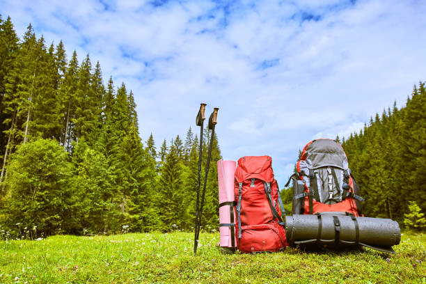 istock Backpacks in the mountains overlooking the mountains on the green grass. 854571746