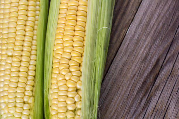 istock Fresh corn on cobs on rustic wooden table, closeup, top view, copy space 854582066