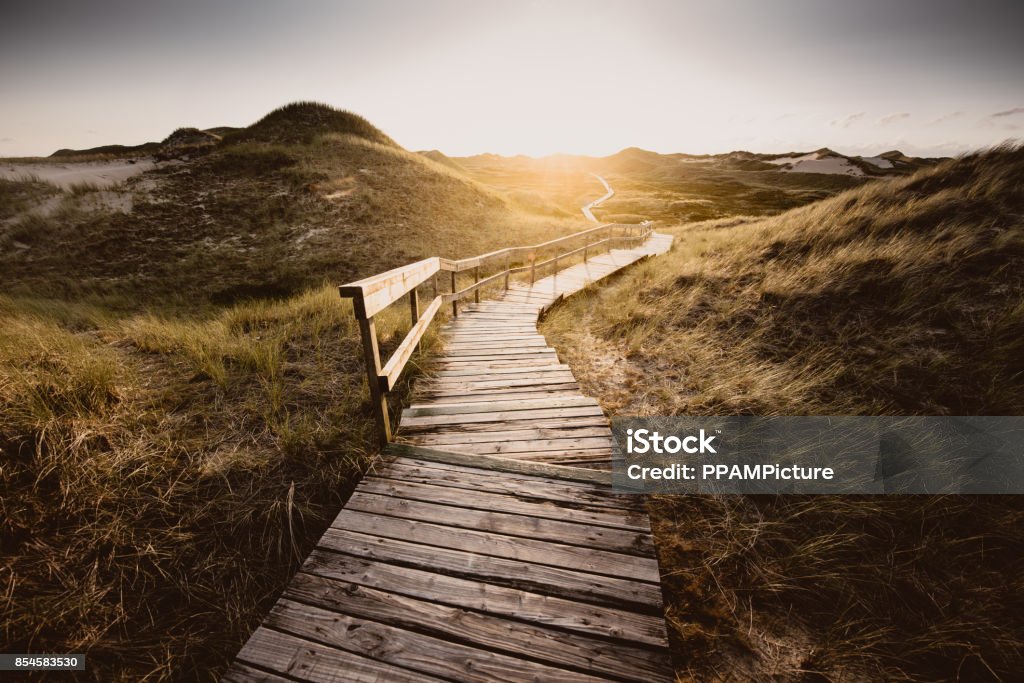 Way through the dunes Boardwalk through the dunes, Amrum, Germany Footpath Stock Photo