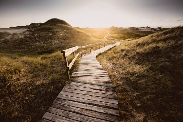 Way through the dunes Boardwalk through the dunes, Amrum, Germany german north sea region stock pictures, royalty-free photos & images