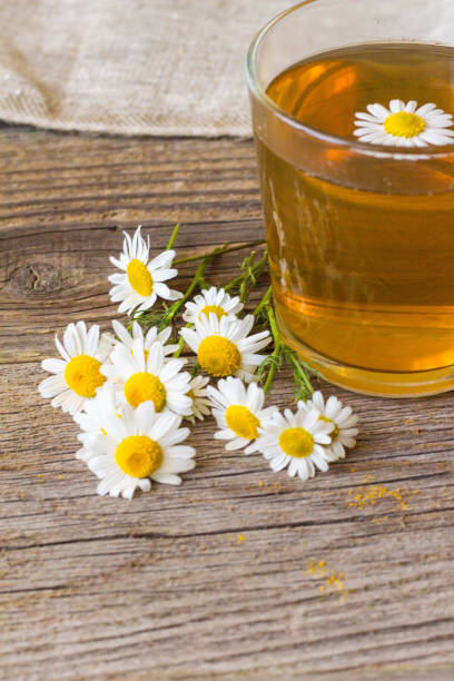 istock Cup of tea with chamomile flowers on rustic wooden background 854583810