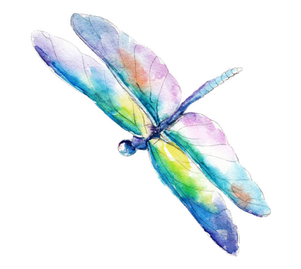 istock The blue-green dragonfly, watercolor illustration isolated on white background. 854590008