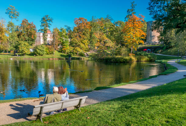 istock Happy elderly couple resting on the wooden bench 854597926