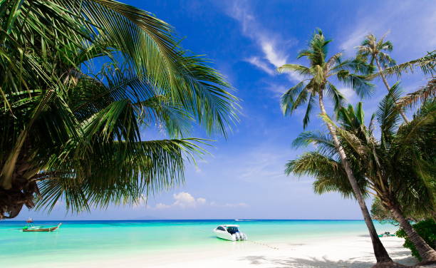 istock Thailand. Sea background. Palms, white sand, yacht 854600176