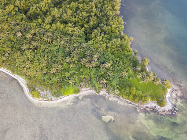 istock Aerial View of Remote Caribbean Island 854601076