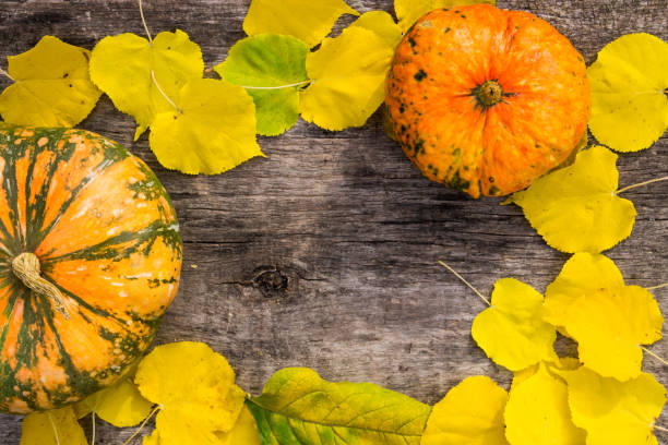 istock Yellow leaves and pumpkin on rustic wooden background 854603026