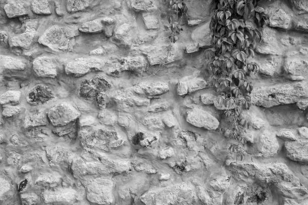 facade view of the stone wall for design background