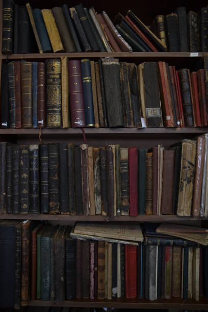 istock Old books on the shelf of the Library 854630030