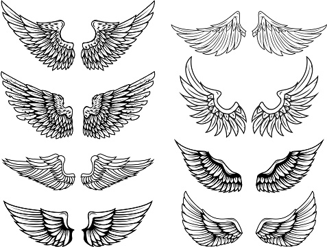 Set of vintage vector wings. Design elements for label, emblem, sign, poster, t shirt. Vector illustration