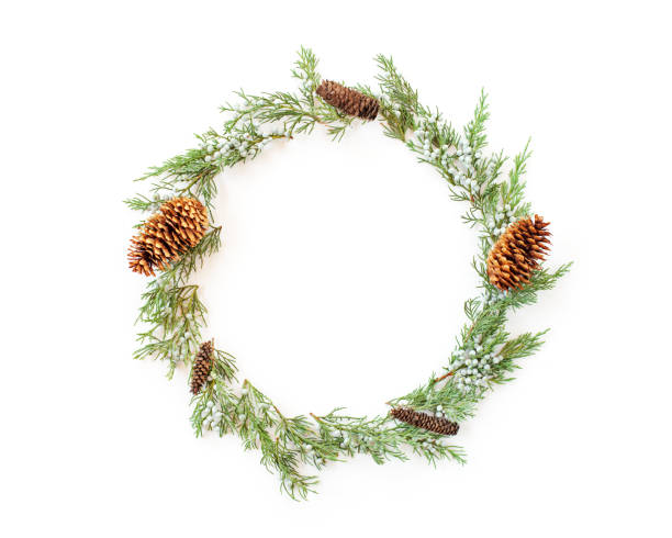 istock Christmas round frame made of evergreens and cones 854646946