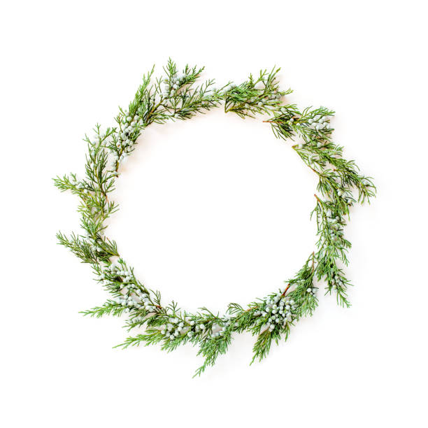 istock Christmas round frame made of winter evergreens 854646956