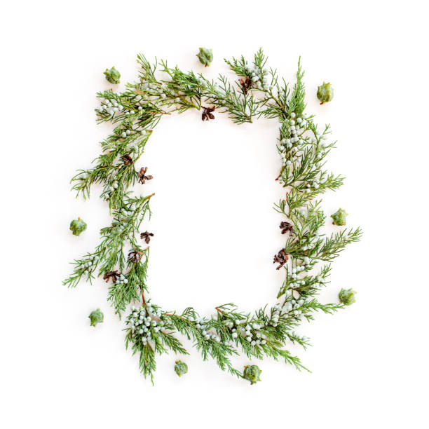 istock Christmas round frame made of evergreens and cones 854646994