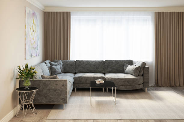 istock Modern living room with a gray sofa 854647108