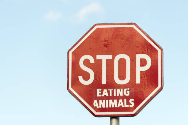 istock Road sign 