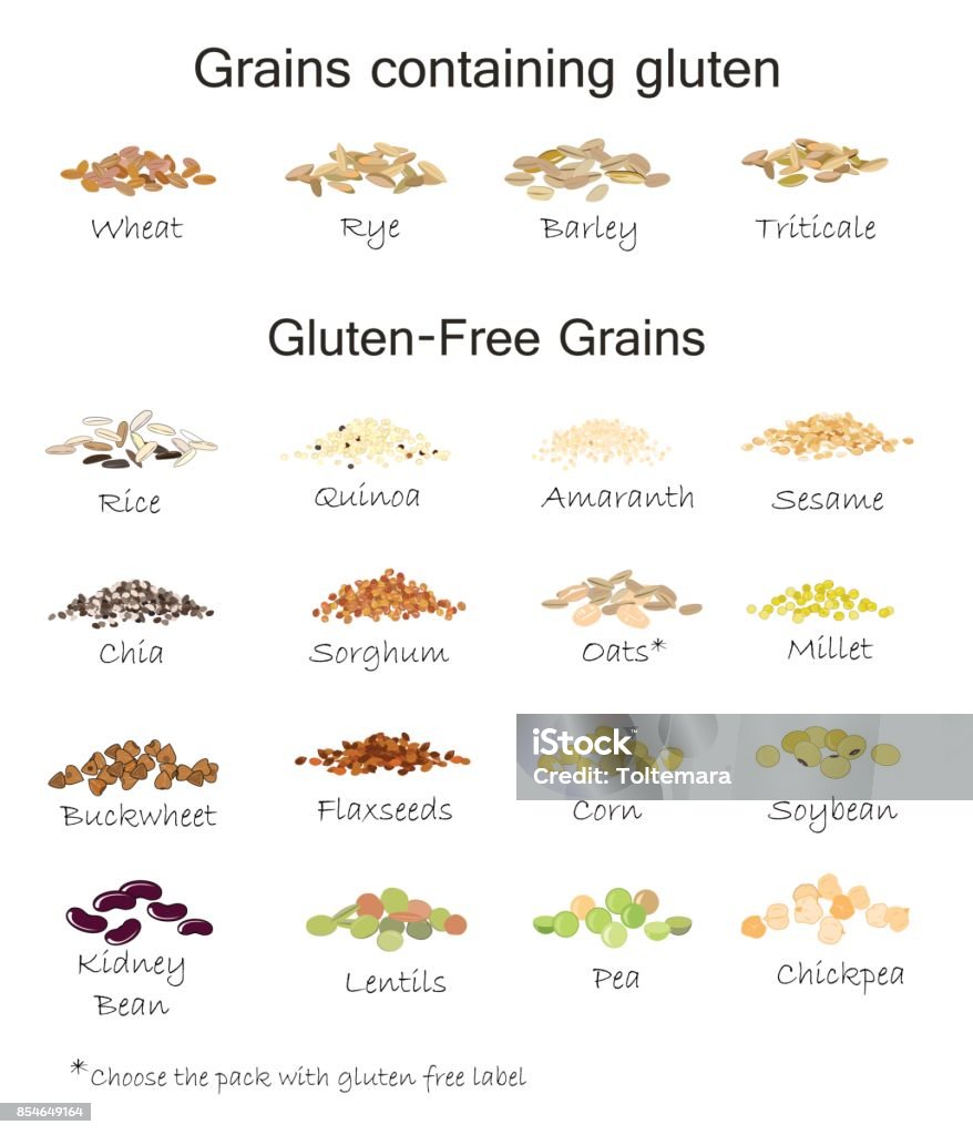 A variety of gluten free and containing gluten grains. Wheat, barley, oats, rye, buckwheat, amaranth, rice, millet, sorghum, quinoa, chia seeds, flax seeds, sesame, oatmeal, legumes. Vector isolated A variety of gluten free and containing gluten grains. Wheat, barley, oats, rye, buckwheat, amaranth, rice, millet, sorghum, quinoa, chia seeds, oatmeal, legumes. Vector isolated Sesame Seed stock vector