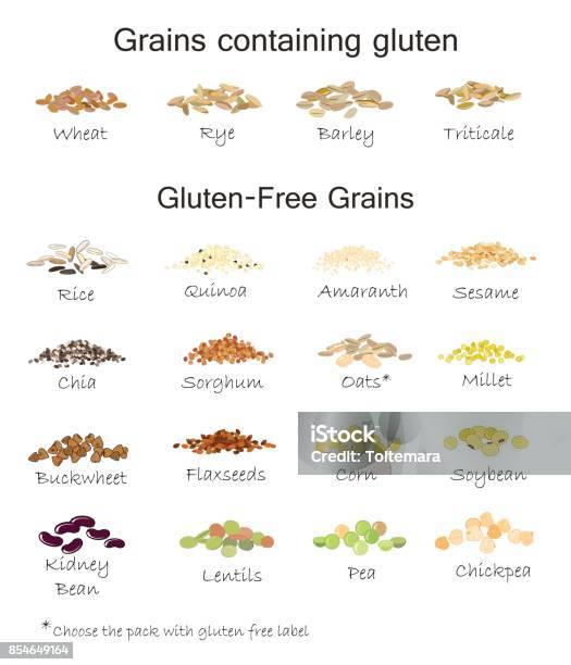 A Variety Of Gluten Free And Containing Gluten Grains Wheat Barley Oats Rye Buckwheat Amaranth Rice Millet Sorghum Quinoa Chia Seeds Flax Seeds Sesame Oatmeal Legumes Vector Isolated Stock Illustration - Download Image Now