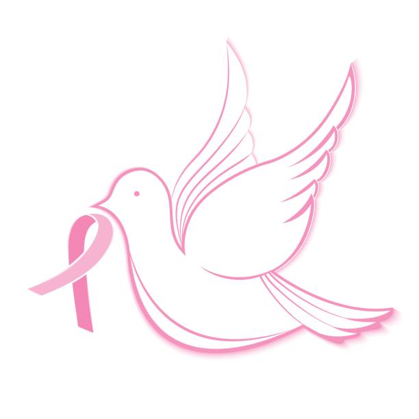 ulusal göğüs kanseri duyarlılığı ayı. pembe kurdele ile güvercin - beast cancer awareness month stock illustrations
