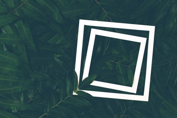 istock Creative layout made of leaves with paper card frame. 854664050