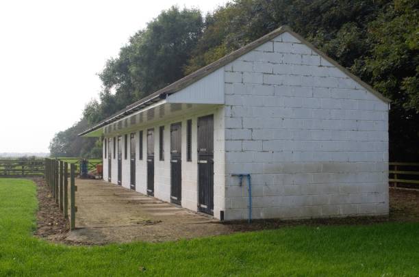 istock white stable block with six stables with black doors 854664274