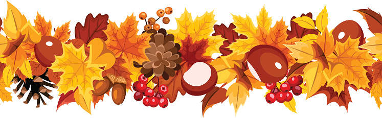 Horizontal Seamless Garland With Colorful Autumn Leaves Vector Illustration  - Arte vetorial de stock e mais imagens de Castanha - iStock