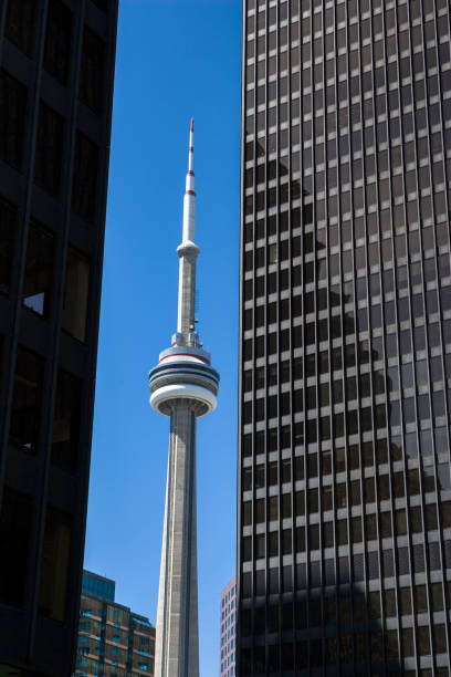 edificios de oficinas en el centro de toronto con la torre de cn - large wealth finance toronto fotografías e imágenes de stock