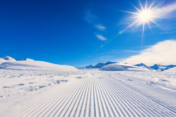 Ski Piste Ski Trail with Shining Sun Stock photograph of a cross-country ski trail at the Orcieres ski resort located in Hautes-Alpes department, southern France. hautes alpes photos stock pictures, royalty-free photos & images