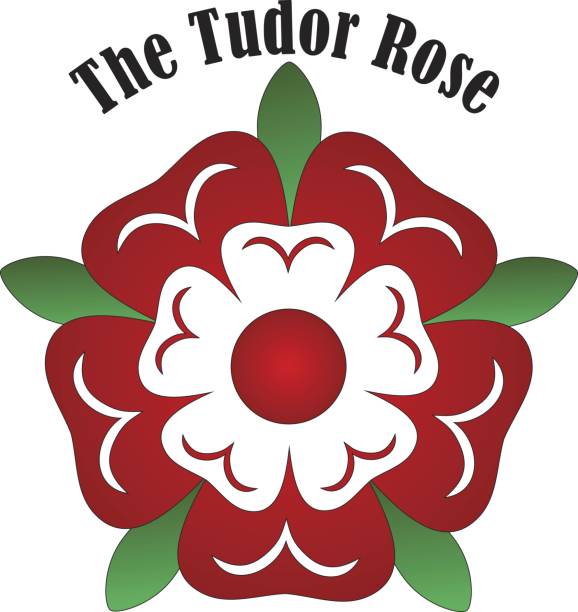 Vector Tudor rose Vector Tudor dynasty rose England country lancaster lancashire stock illustrations