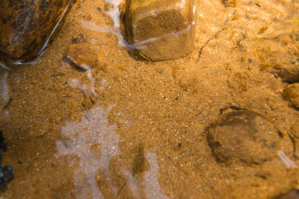 Small shiny fragments of gold in the sand of a shallow river in Honduras.