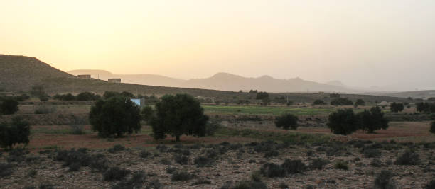 istock Landscape South Tunisian, Mednine, sand wind 854682288