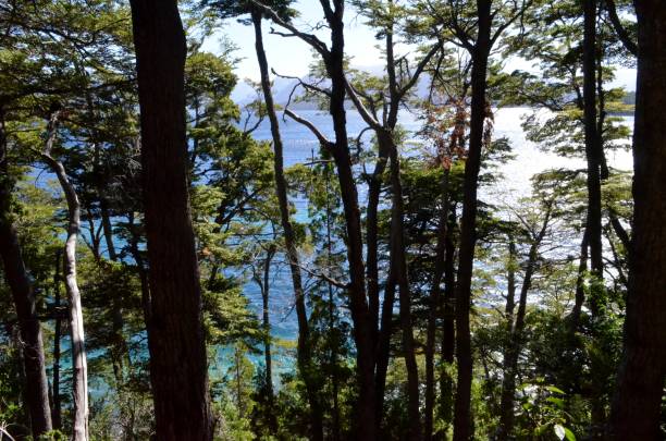istock Landscape mountains and lakes Bariloche Argentina 854682342