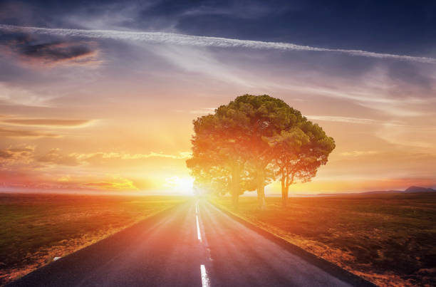 Asphalt road along the sea at sunset.