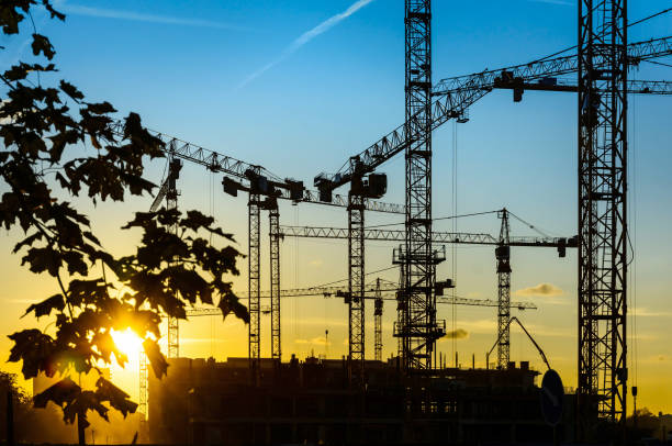 istock Many cranes silhouettes at sunset. 854700666