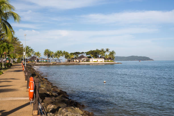 istock Palm Tree by the beach in Malaysia 854704056