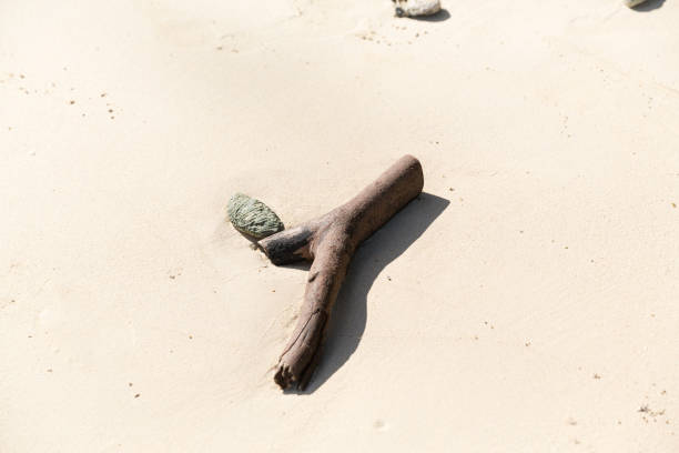 istock A beautiful beach in Kota Kinabalu 854708030