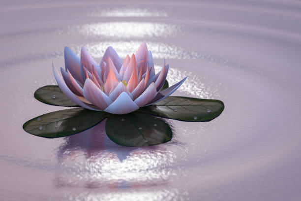 istock Lotus flower good for relaxation 854710926
