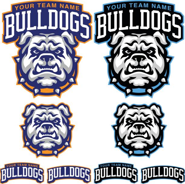 Bulldog Sports Kit This is a great Bulldog sports kit created for team and organizations. This mascot has bold and clean vector lines making a great addition to any form of product development. bulldog stock illustrations