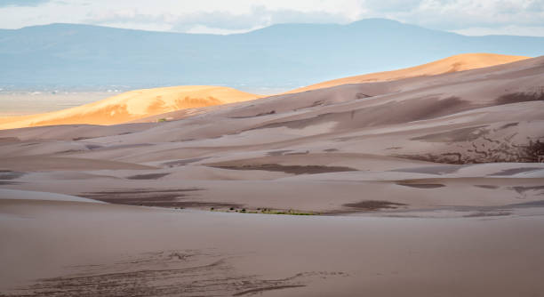 Great Sand Dunes National Park at dawn
