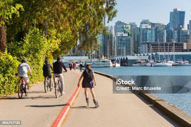 Stanley Park Y El Horizonte De Vancouver En Verano Foto de stock y más banco de imágenes de Stanley Park - Vancouver - Canadá - Stanley Park - Vancouver - Canadá, Muro de contención, 2017