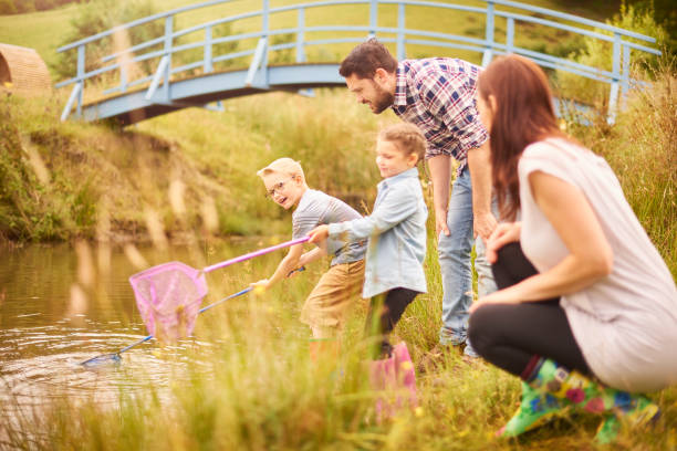 istock pond dippers at the lake 854761718