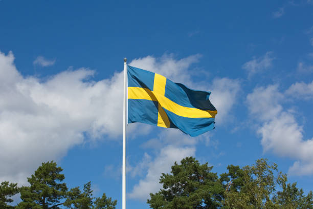 the Swedish flag the Swedish flag sweden flag stock pictures, royalty-free photos & images