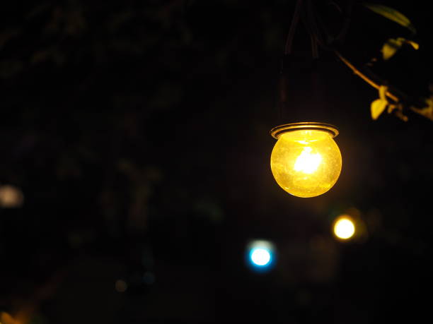 istock Clear yellow light bulb hanging in dark night tree 854804698