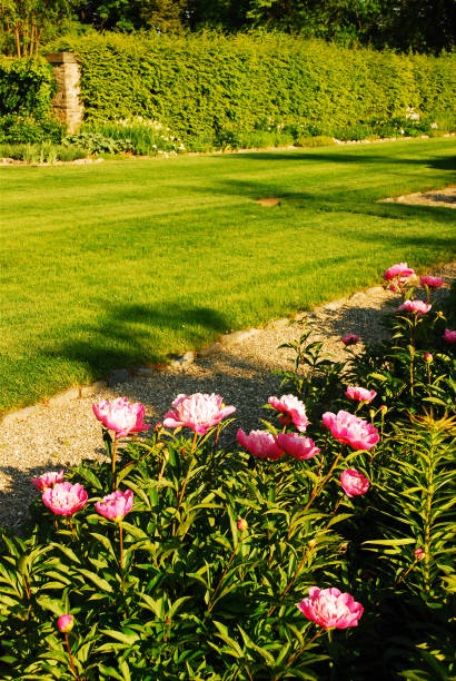 Formal garden at the Roosevelt Home A formal garden, maintained by the National Park Service, treats visitors to the Franklin D Roosevelt home in Hyde Park, New York hyde park flowers stock pictures, royalty-free photos & images