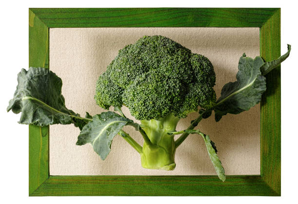 A fresh broccoli spear inside a green wood frame with a natural cotton background, with some leaves protruding from the frame. Isolated on white with clipping frame included.