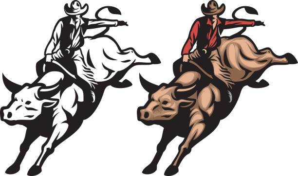 illustrazioni stock, clip art, cartoni animati e icone di tendenza di bull riding - rodeo bull bull riding cowboy