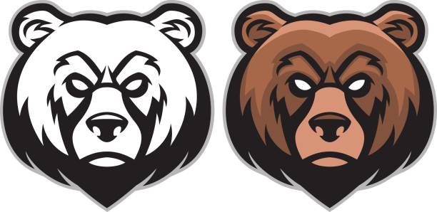 ilustraciones, imágenes clip art, dibujos animados e iconos de stock de angry bear de mascot - university education screaming shouting
