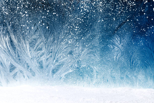 bosque de cuento de hadas en la helada de la ventana - frost winter tree cold fotografías e imágenes de stock