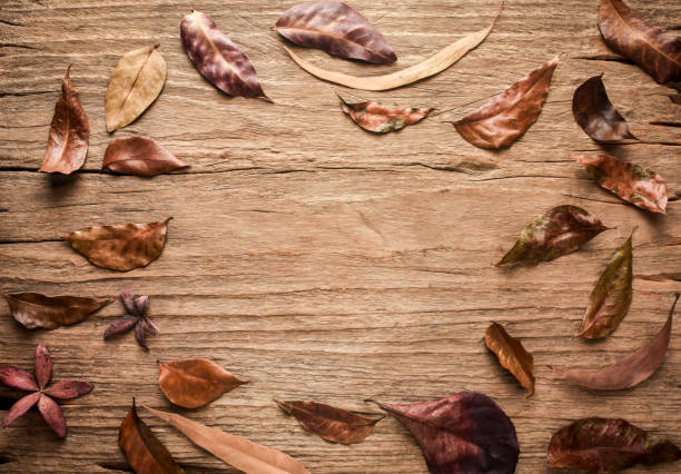 istock Dry autumn leaves on wood background. 854893580